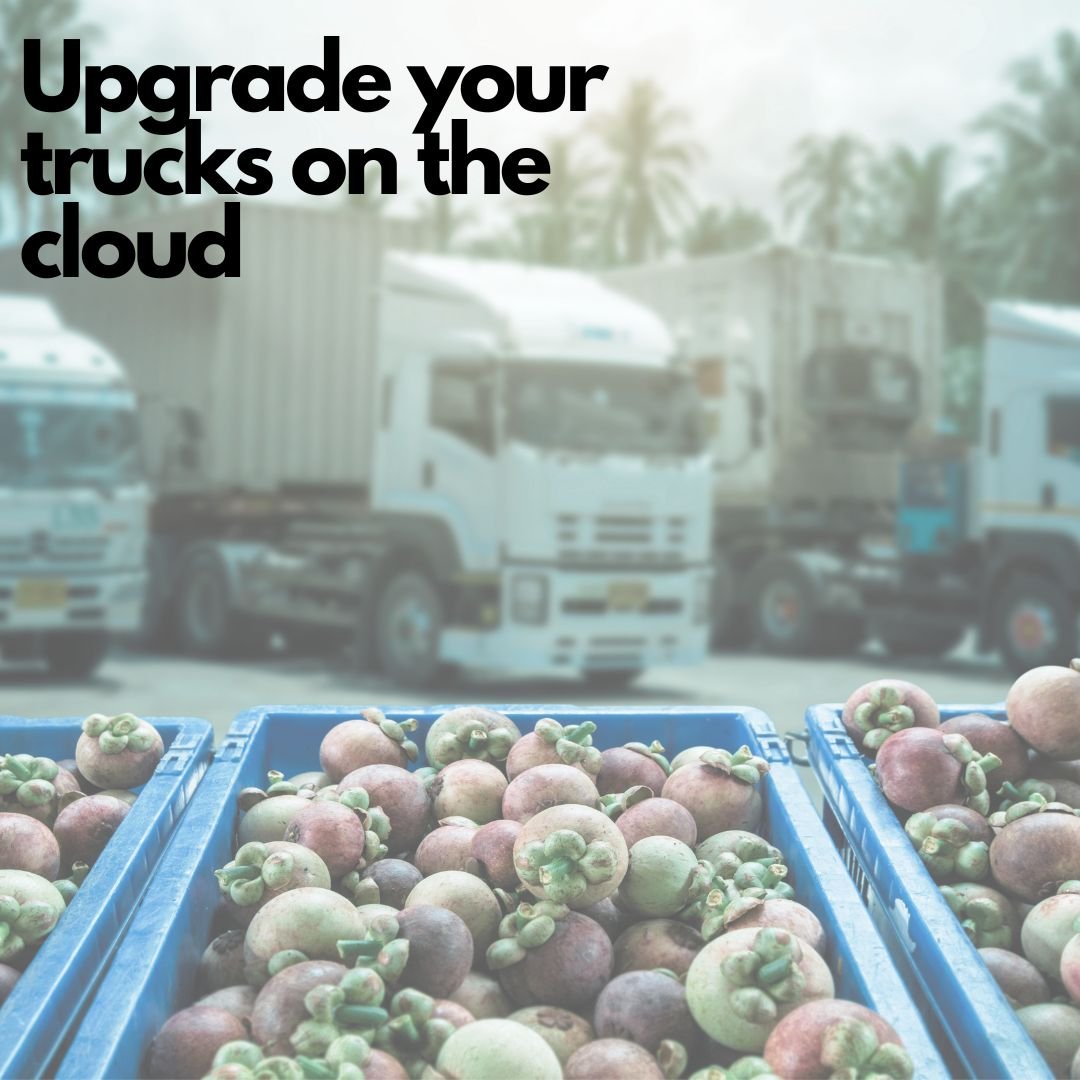 Uncover the Savings Potential for Lumper Services with Osa's