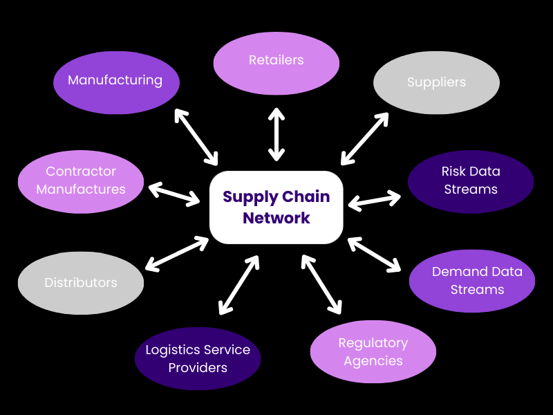 Supply Chain Network
